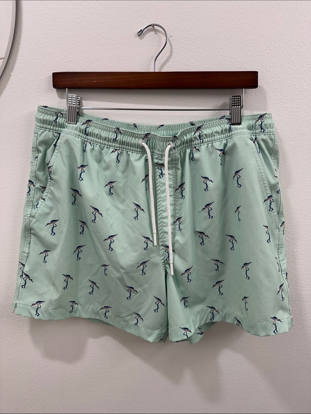 American Eagle Outfitters Men's 5” Mint Green Swim Trunks - out of stock online